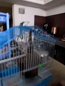 Snapshot of sexysilmy chatting on February 2026 08:35:02 AM sexysilmy online show from February 2026 08:35:02 AM