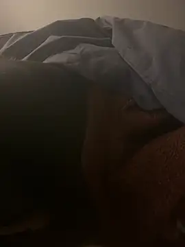 Snapshot of harleyquin00 chatting on February 2026 07:32:02 PM harleyquin00 online show from February 2026 07:32:02 PM