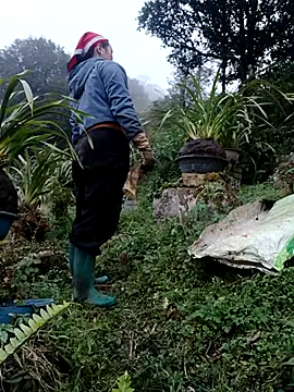 nelina 12345 online show from February 2026 10:44:02 AM