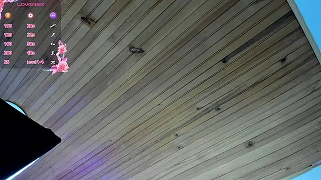 Snapshot of Irisbeel chatting on February 2026 01:12:01 AM Irisbeel online show from February 2026 01:12:01 AM