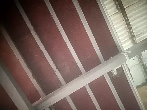 Snapshot of sex_baby26 chatting on February 2026 06:47:01 AM sex baby26 online show from February 2026 06:47:01 AM