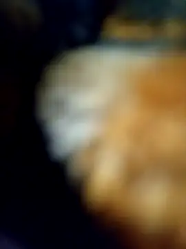 Avinh 09 online show from February 2026 05:20:02 PM