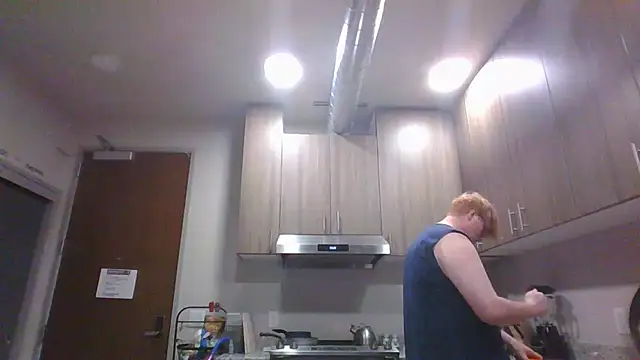 Snapshot of nigeleros chatting on July 2026 06:11:02 AM nigeleros online show from July 2026 06:11:02 AM