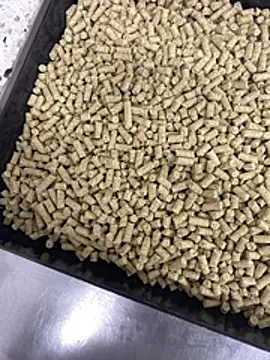 Elmanc online show from February 2026 08:19:02 PM