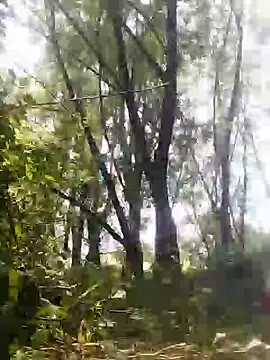 marti 8 online show from May 2026 12:31:02 PM