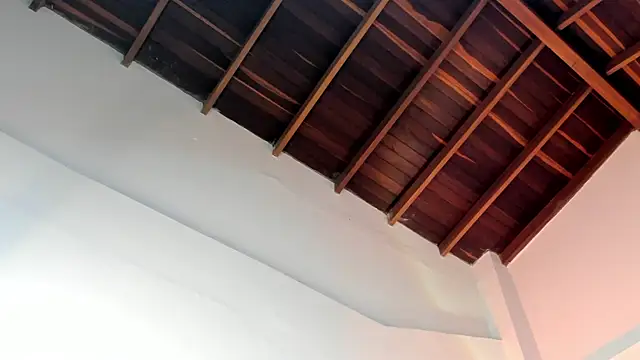 TonyPetrovjs online show from April 2026 04:57:01 AM