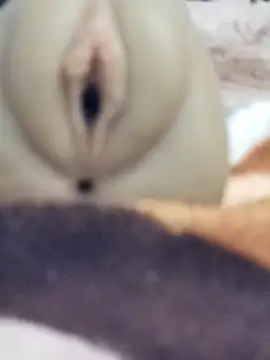 Mikecrazyhy online show from February 2026 03:16:02 AM