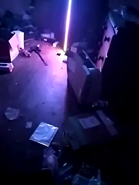 cexcitef online show from March 2026 12:28:01 AM