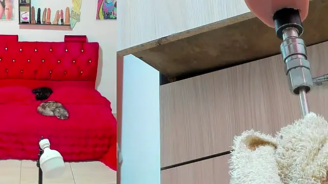 bella  funny online show from May 2026 06:05:01 PM