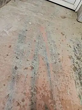 67sanju online show from March 2026 12:23:01 PM