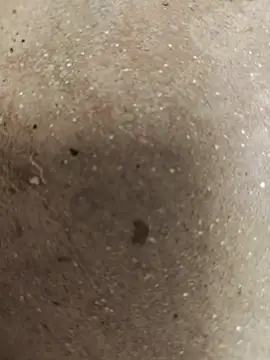 67sanju online show from March 2026 04:07:02 AM