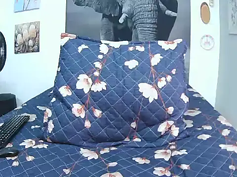 FireMontana9 online show from March 2026 01:57:02 PM