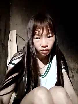 pic8800 online show from April 2026 09:56:02 PM