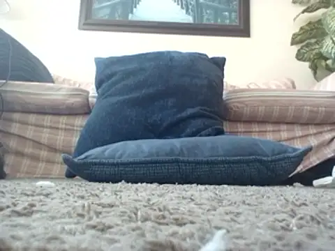 WorthingtonM3 online show from March 2026 03:50:01 PM