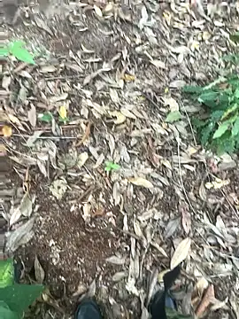 bibedro online show from February 2026 09:16:01 PM