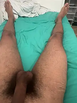 adhesivetn online show from June 2026 11:57:02 PM