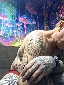 drednasty online show from April 2026 02:16:02 AM