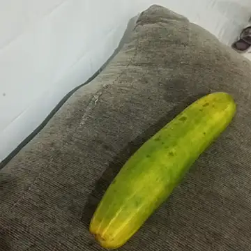 puta casada online show from March 2026 03:03:02 AM