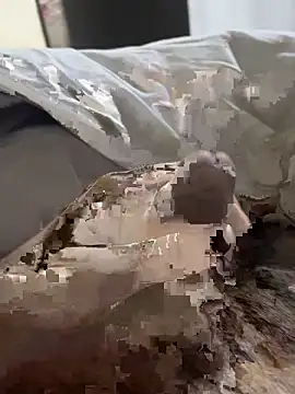 likemonster11 online show from March 2026 12:05:01 AM