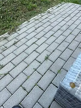 teencouple1313 online show from April 2026 06:35:02 AM