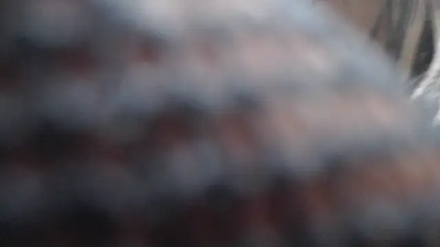 Snapshot of Britanylovee chatting on March 2026 02:50:01 PM Britanylovee online show from March 2026 02:50:01 PM