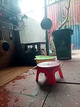 Snapshot of Leylin_1 chatting on March 2026 06:06:02 AM Leylin 1 online show from March 2026 06:06:02 AM