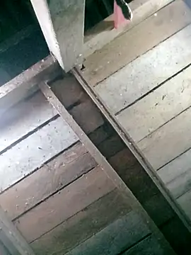 hasaki001 online show from April 2026 08:36:02 PM