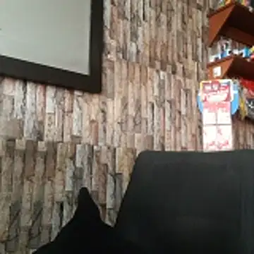 Snapshot of jhosuamoore chatting on March 2026 07:52:01 PM jhosuamoore online show from March 2026 07:52:01 PM