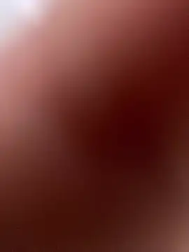 LINDA EF online show from April 2026 12:38:01 PM