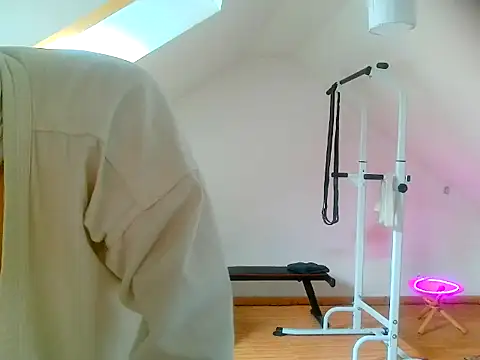 Snapshot of NinjaLaser chatting on April 2026 11:27:01 AM NinjaLaser online show from April 2026 11:27:01 AM