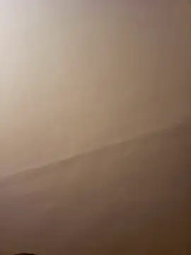 Snapshot of dufatcock chatting on April 2026 08:02:02 PM dufatcock online show from April 2026 08:02:02 PM