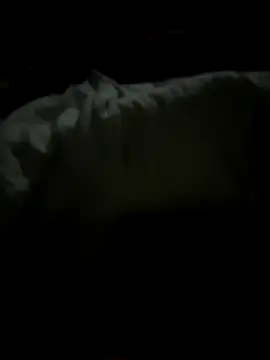 tundrata online show from March 2026 01:43:02 AM