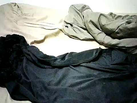 Snapshot of PrimBee chatting on March 2026 10:46:01 PM PrimBee online show from March 2026 10:46:01 PM