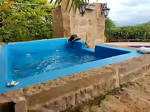 Snapshot of wildestatecouple chatting on March 2026 06:11:01 PM wildestatecouple online show from March 2026 06:11:01 PM