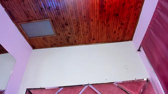 Snapshot of Megan_Dangelo chatting on March 2026 12:33:02 PM Megan Dangelo online show from March 2026 12:33:02 PM