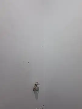 Snapshot of Aila_Phone chatting on March 2026 02:06:02 PM Aila Phone online show from March 2026 02:06:02 PM