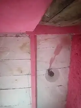 Snapshot of Mona_ji32 chatting on April 2026 03:32:02 PM Mona ji32 online show from April 2026 03:32:02 PM