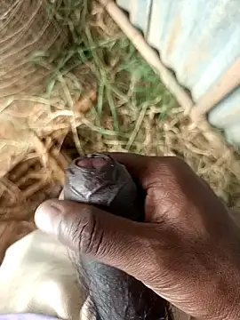 sanju 5418 online show from April 2026 09:27:01 AM