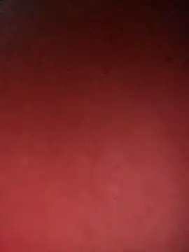 leidi-95- online show from April 2026 03:34:02 PM