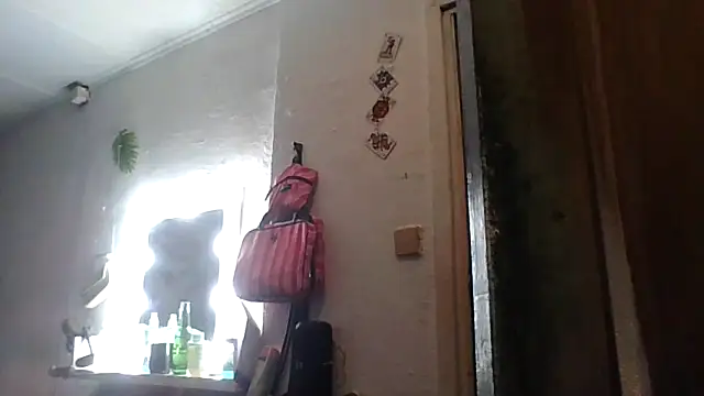 Anna-Cash online show from May 2026 08:30:01 AM