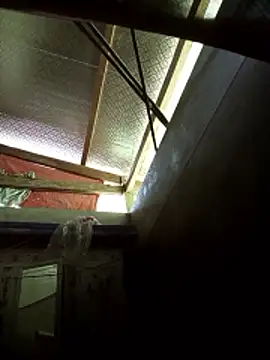 Snapshot of -Tiduta- chatting on March 2026 04:56:01 AM -Tiduta- online show from March 2026 04:56:01 AM