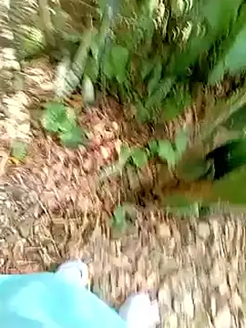 Snapshot of SabrinaVantress chatting on April 2026 07:23:02 PM SabrinaVantress online show from April 2026 07:23:02 PM