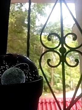 Snapshot of SabrinaVantress chatting on April 2026 04:52:01 PM SabrinaVantress online show from April 2026 04:52:01 PM