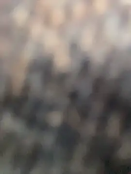 Snapshot of Anitta__LS chatting on April 2026 08:06:01 PM Anitta LS online show from April 2026 08:06:01 PM