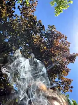 Snapshot of savageebny chatting on May 2026 12:02:01 PM savageebny online show from May 2026 12:02:01 PM