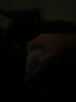 Snapshot of yassineamri chatting on March 2026 01:22:02 PM yassineamri online show from March 2026 01:22:02 PM