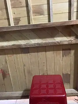 Snapshot of Zinii99 chatting on April 2026 04:42:01 AM Zinii99 online show from April 2026 04:42:01 AM