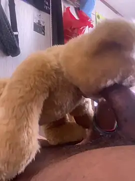 Bigcock127 online show from March 2026 08:25:02 PM