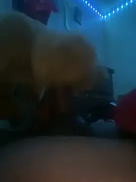 Bigcock127 online show from March 2026 08:37:02 AM