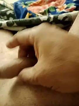 Snapshot of miroseis chatting on April 2026 02:01:01 AM miroseis online show from April 2026 02:01:01 AM